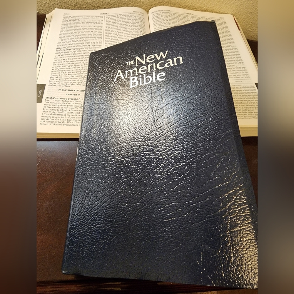 New American bible